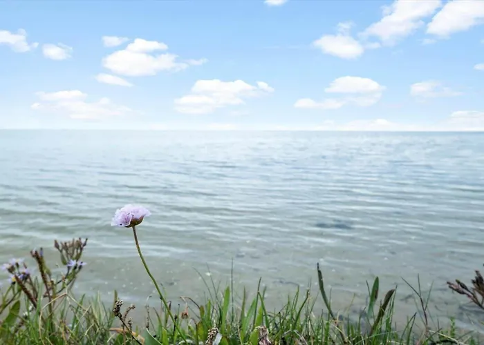 Дом отдыха Oh419-hadsund-halvrebene-60